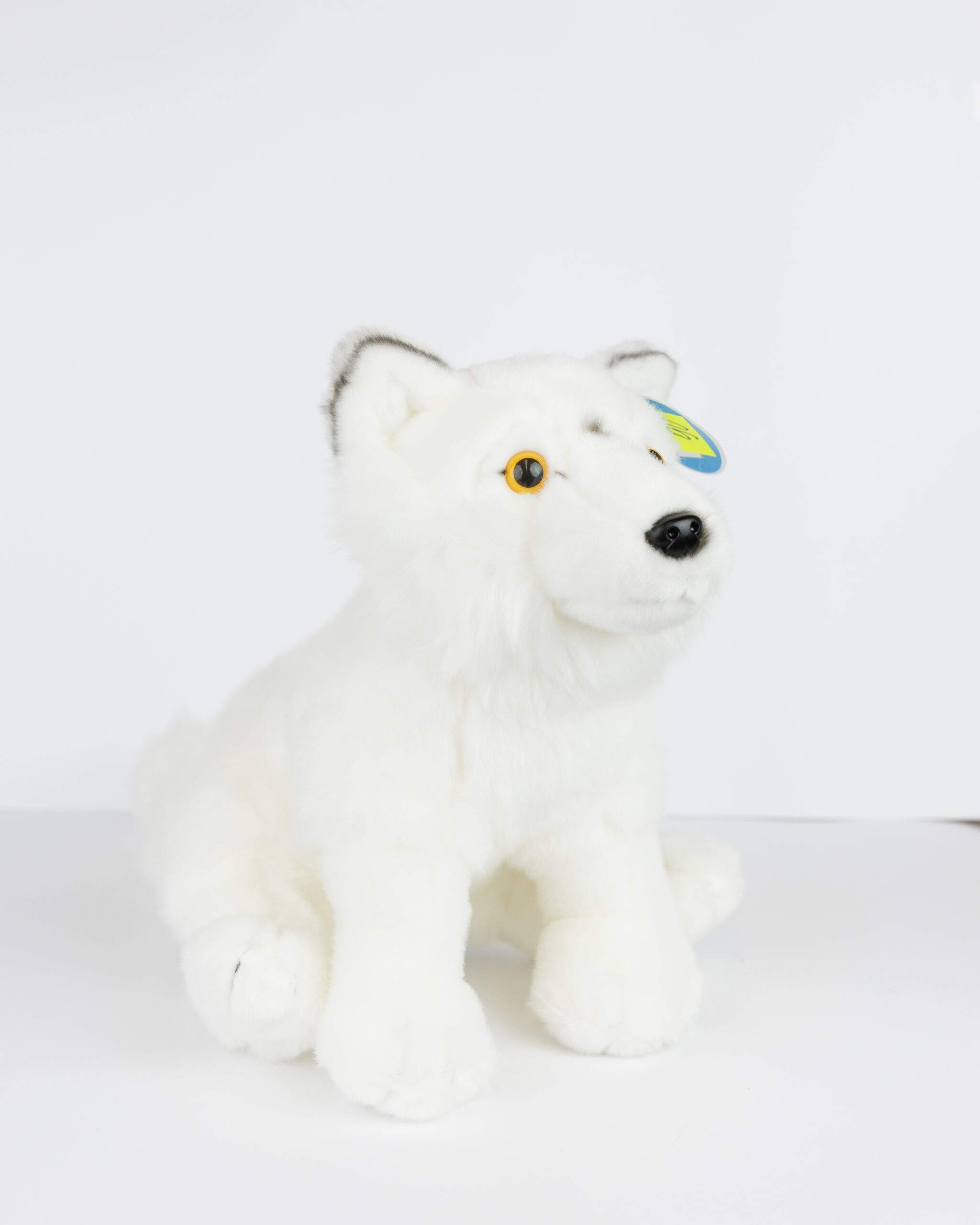 Wilk polarny 26 cm